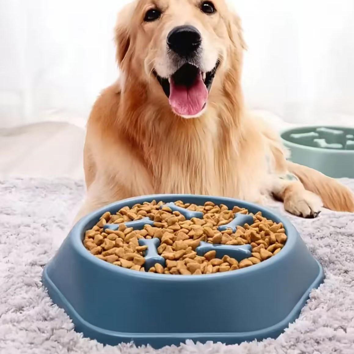 Slow Feeder Dog Bowl - Interaktiver Slow-Feeder-Napf, Anti-Verschlucken Haustierfutternapf, Slow-Eating-Design zur