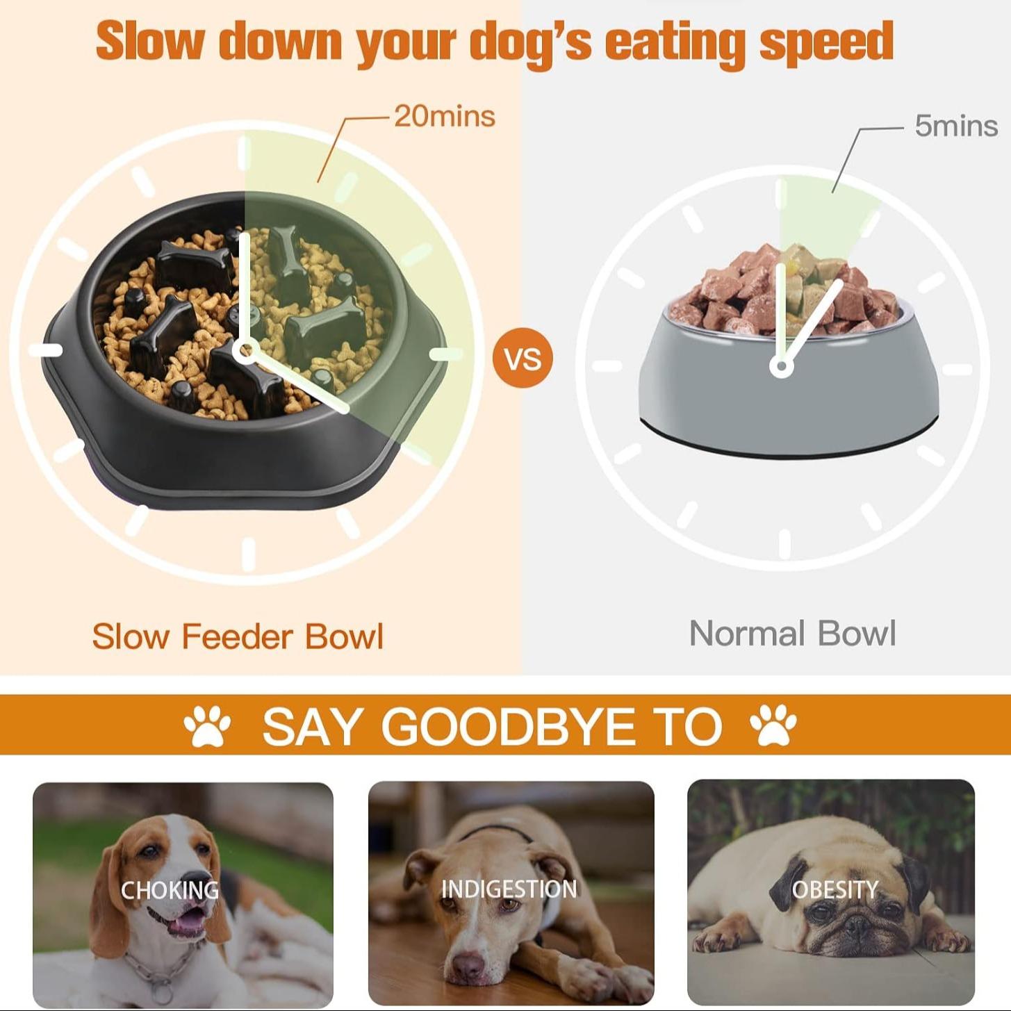 Interaktiver Slow-Feeder-Napf, – Slow Feeder Dog Bowl Bewertung und Preis