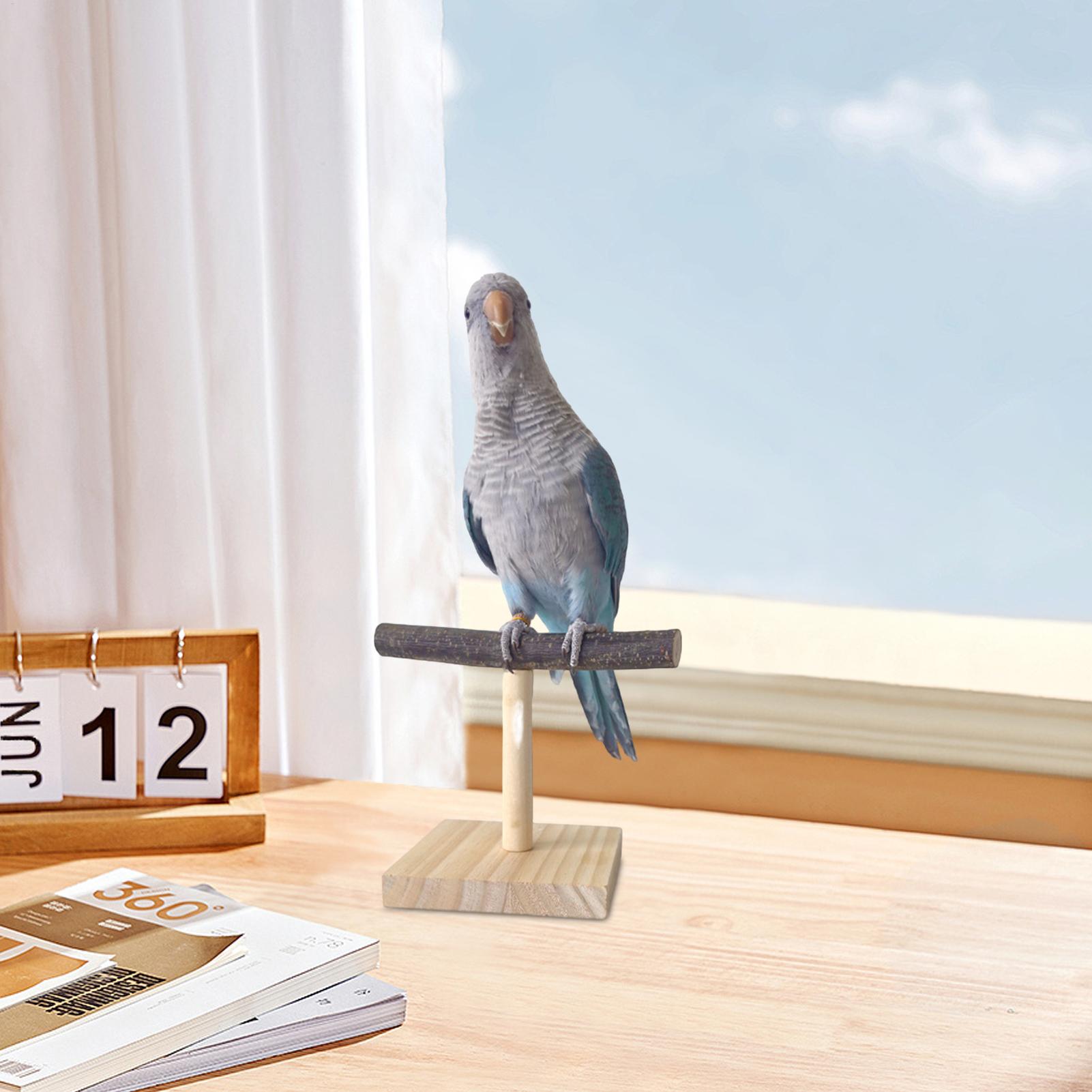 Naturholz Papageien-Sitzstange – Bird Cage Parrot Bewertung und Preis