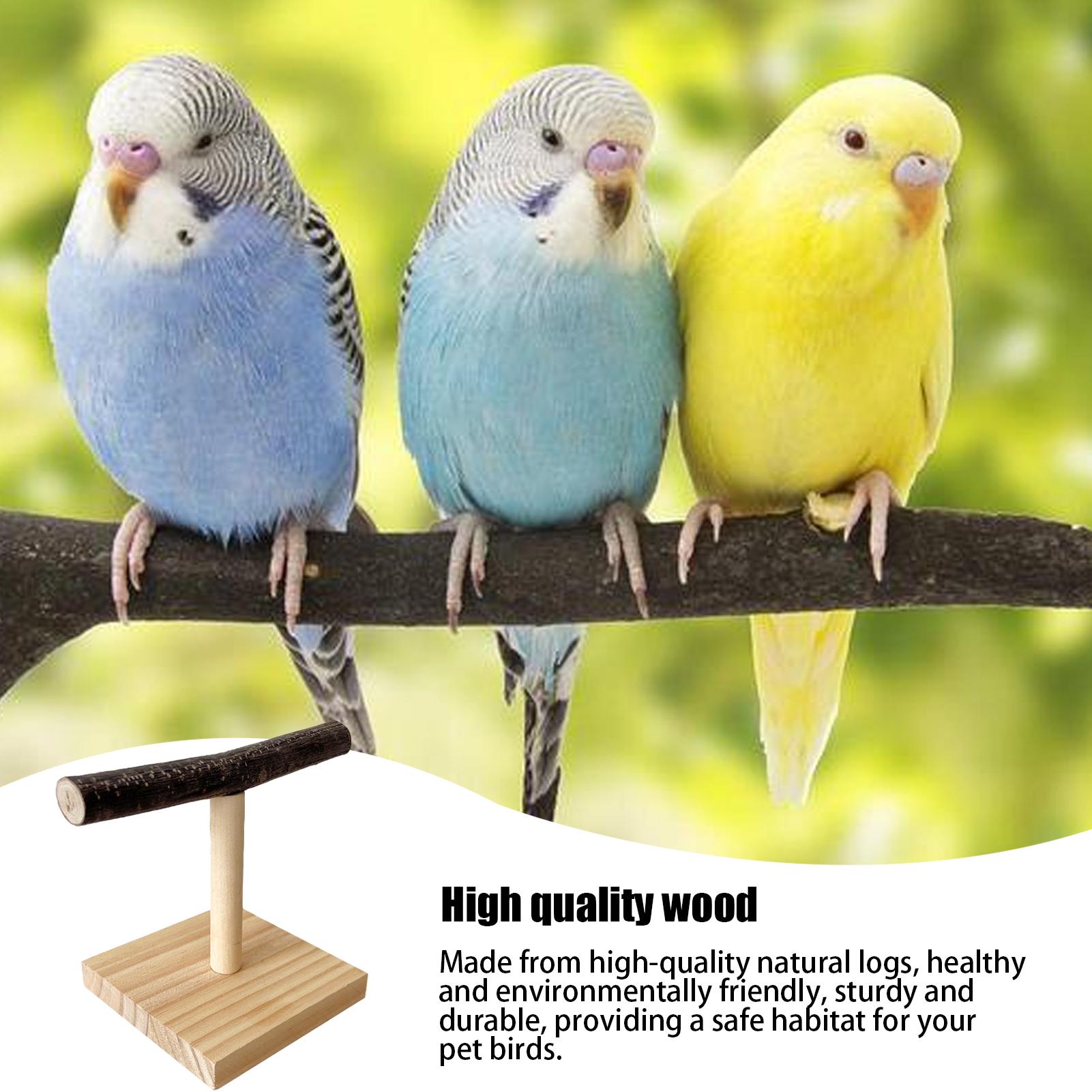 Naturholz Papageien-Sitzstange – Bird Cage Parrot Bewertung und Preis