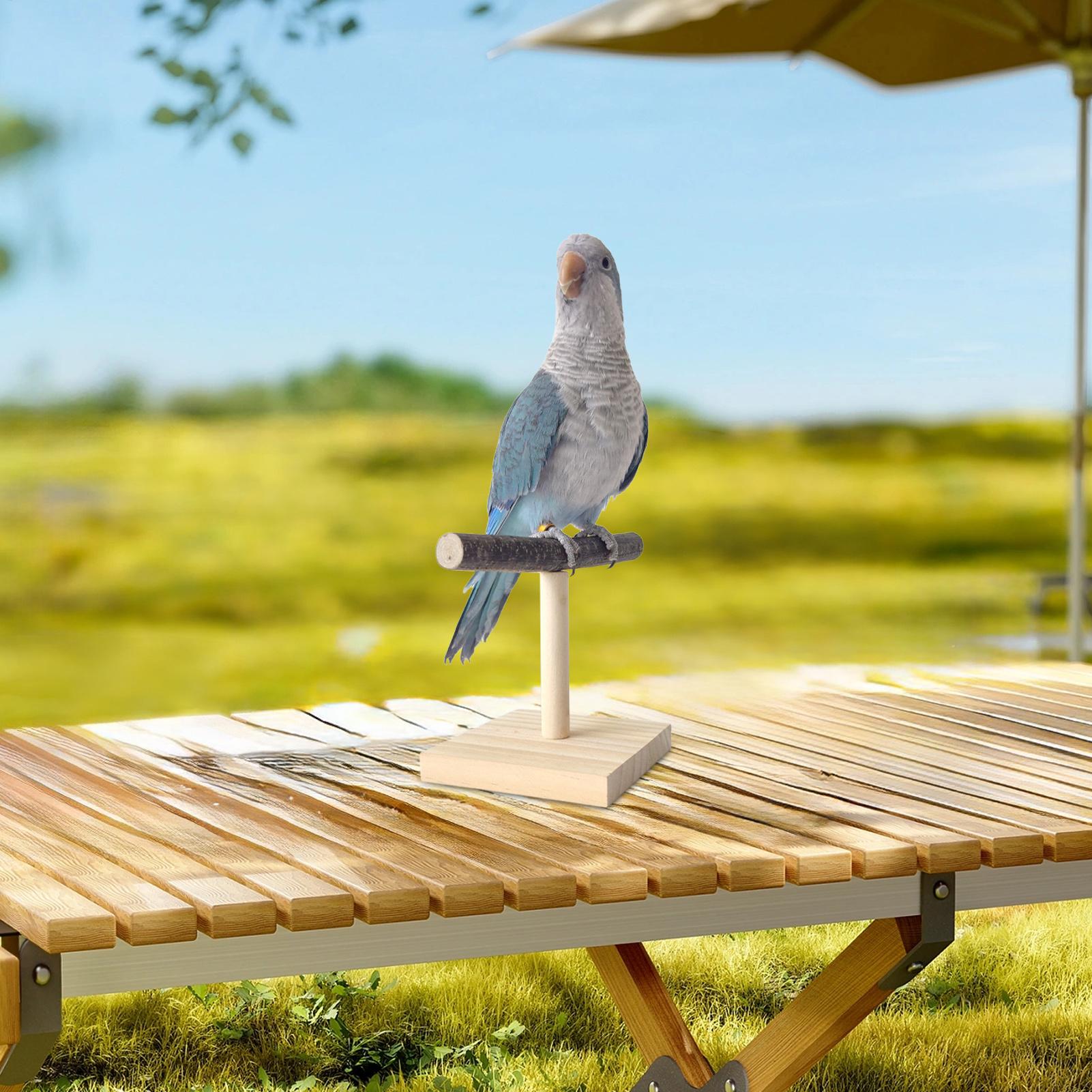 Naturholz Papageien-Sitzstange – Bird Cage Parrot Bewertung und Preis