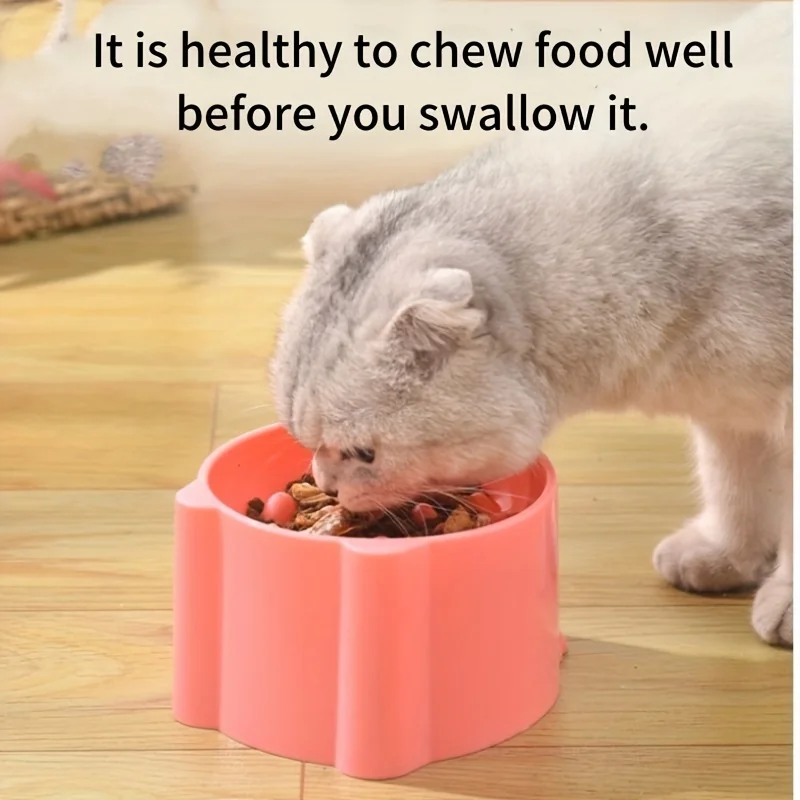 Katzenfutterschüssel, Reisschü – Slow Feeder Dog Bowl Bewertung und Preis