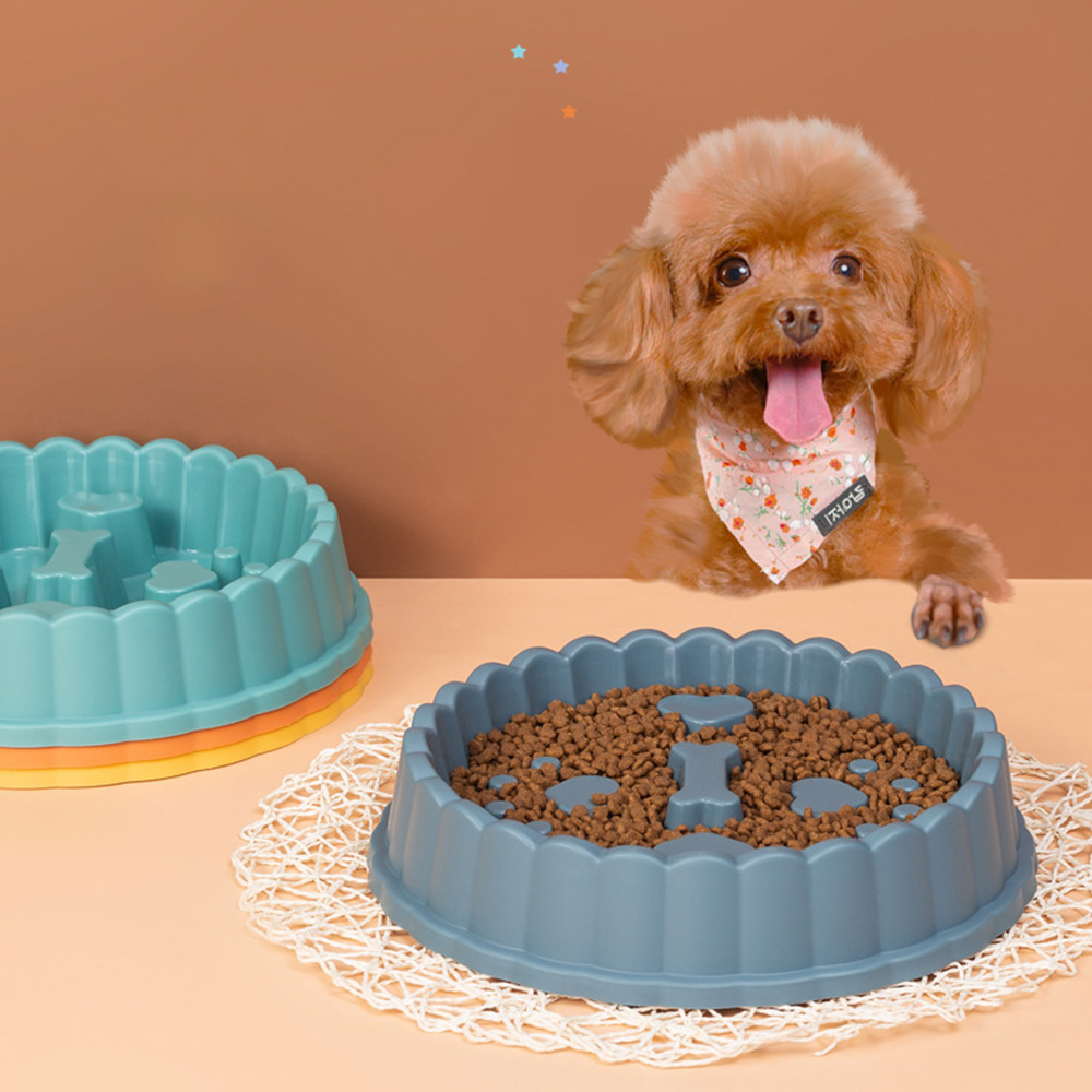 Anti-Erstickungs-Hundenapf mit – Slow Feeder Dog Bowl Bewertung und Preis