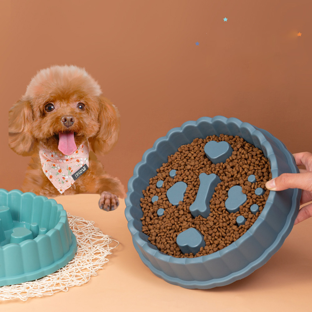 Anti-Erstickungs-Hundenapf mit – Slow Feeder Dog Bowl Bewertung und Preis