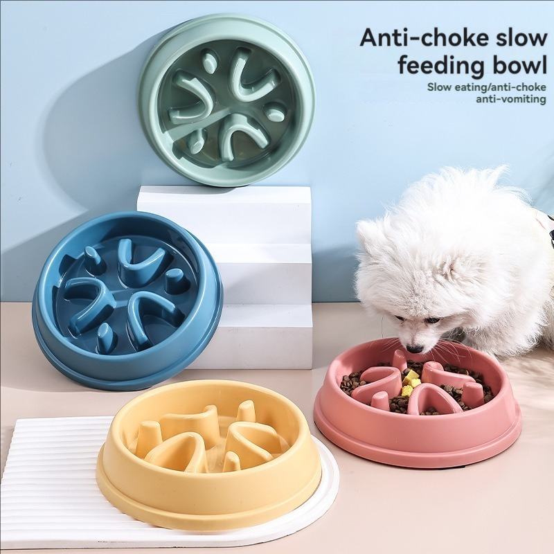 Heimtierbedarf, Slow-Food-Schü – Slow Feeder Dog Bowl Bewertung und Preis