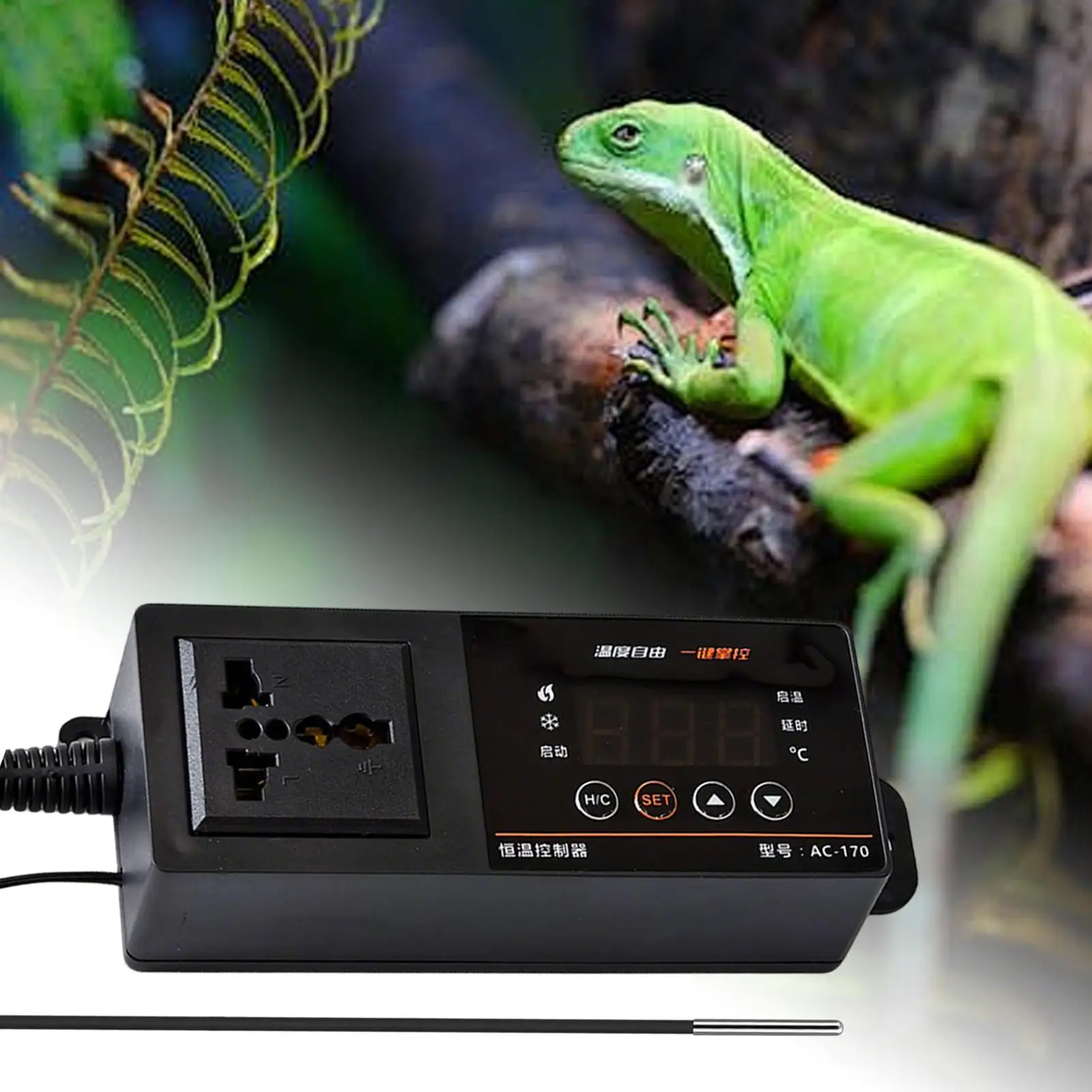 Thermostat für Reptilien-Terra – Pet Supplies In Uk Bewertung und Preis