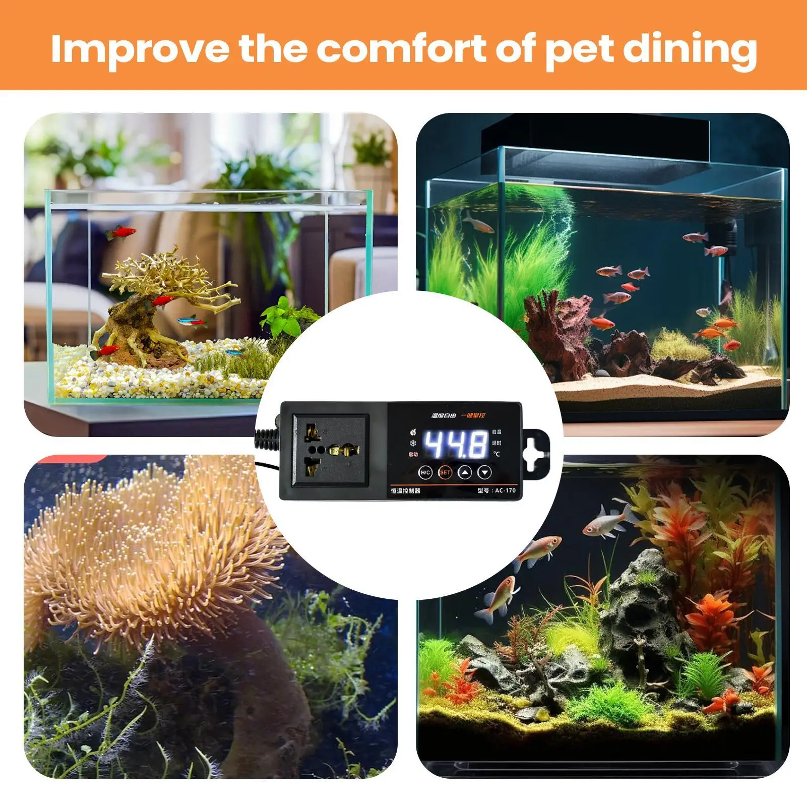 Thermostat für Reptilien-Terra – Pet Supplies In Uk Bewertung und Preis