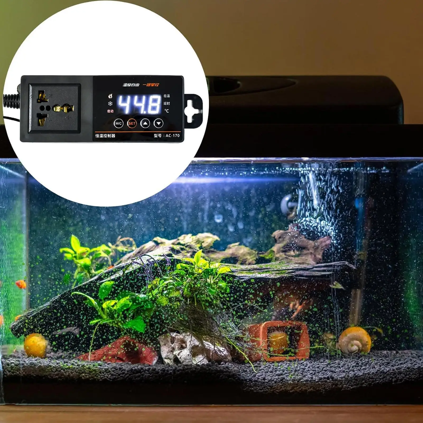Thermostat für Reptilien-Terra – Pet Supplies In Uk Bewertung und Preis