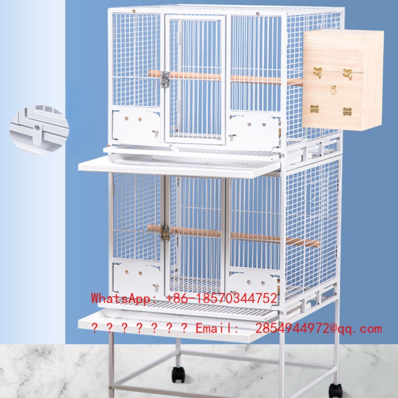 2026 Tauben-Großvogelkäfig Fut – Bird Cage Parrot Bewertung und Preis