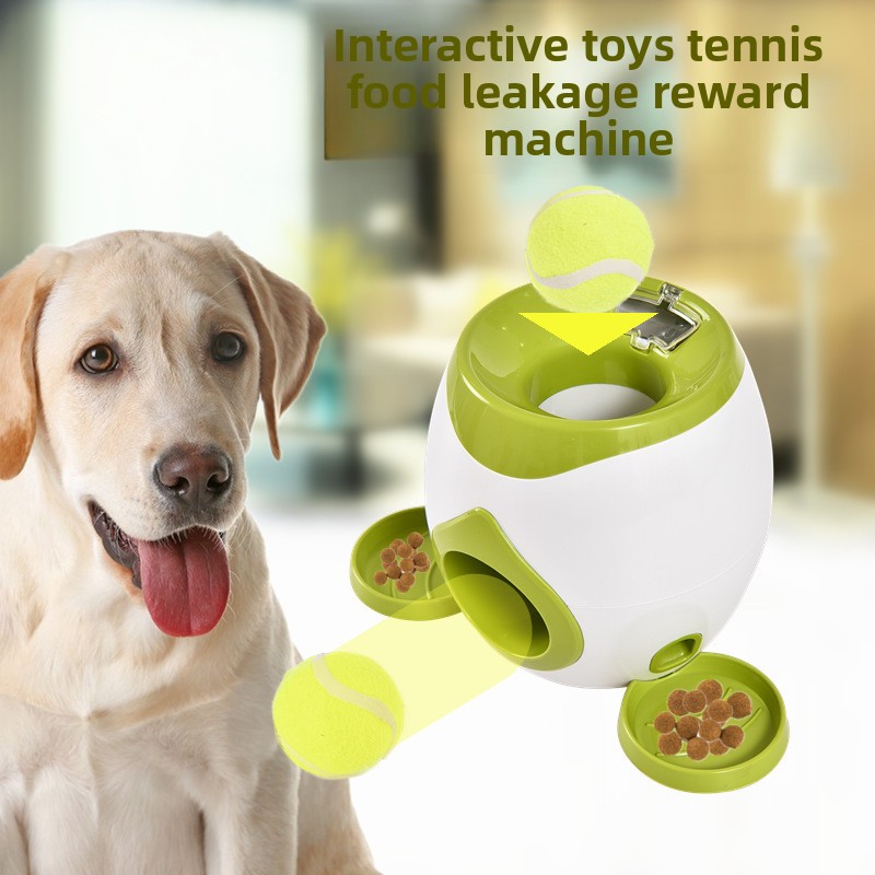 2-in-1 Interaktives Hundespiel – Pet Supplies Rewards Bewertung und Preis