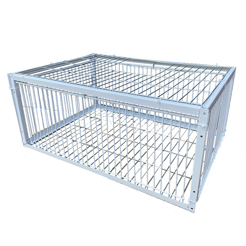 USMILEPET Bestseller Eisenkäfi – Bird Cage Parrot Bewertung und Preis