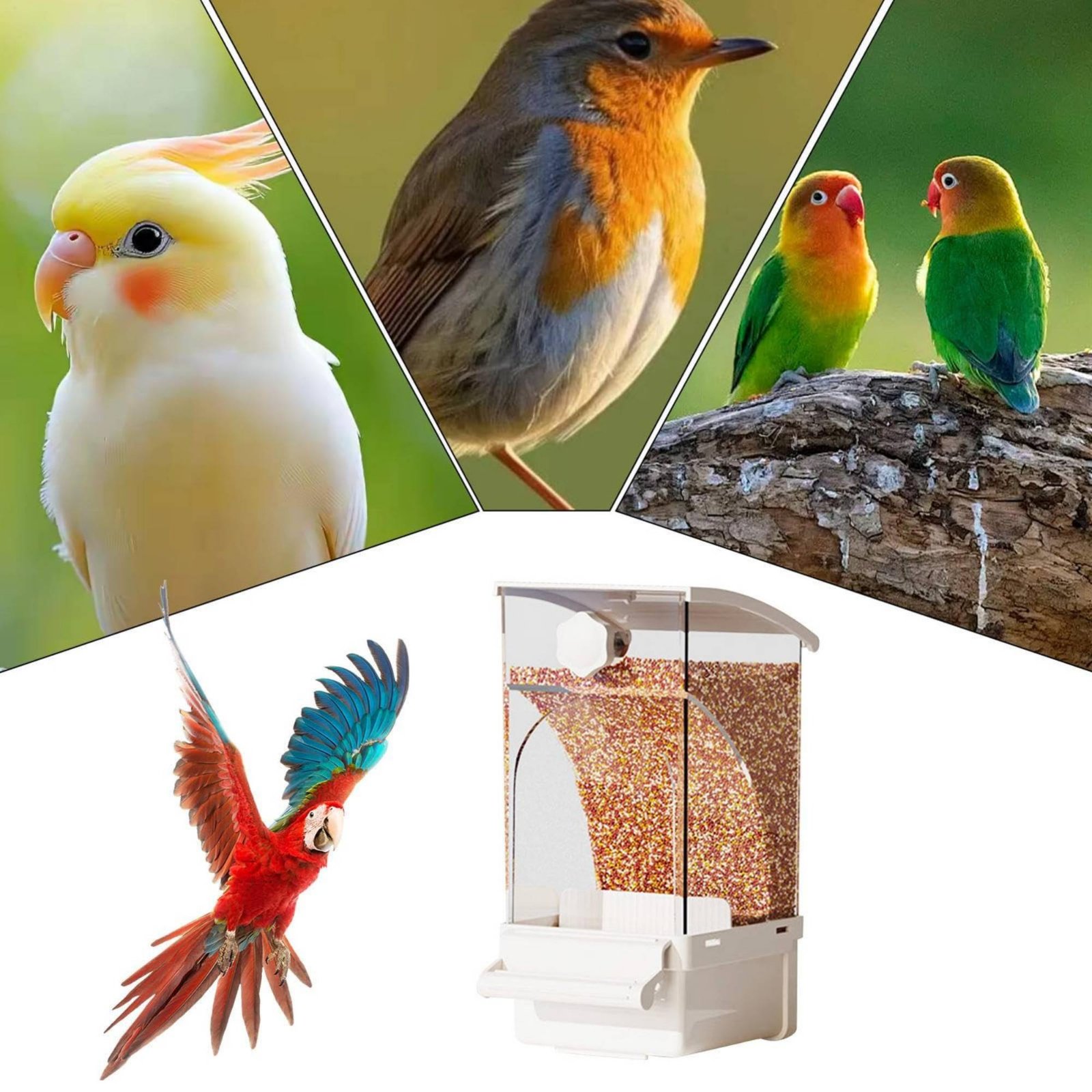 Automatischer Vogelfutterspend – Pet Supplies In Bewertung und Preis