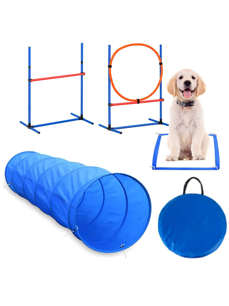 Hunde-Hindernistraining Wettbe – Pet Supplies In Bewertung und Preis