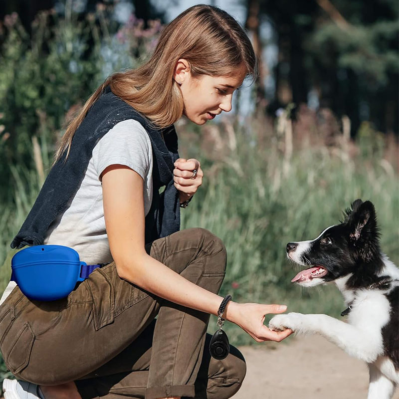 Silikon Hund Behandeln Tasche  – Pet Supplies Rewards Bewertung und Preis