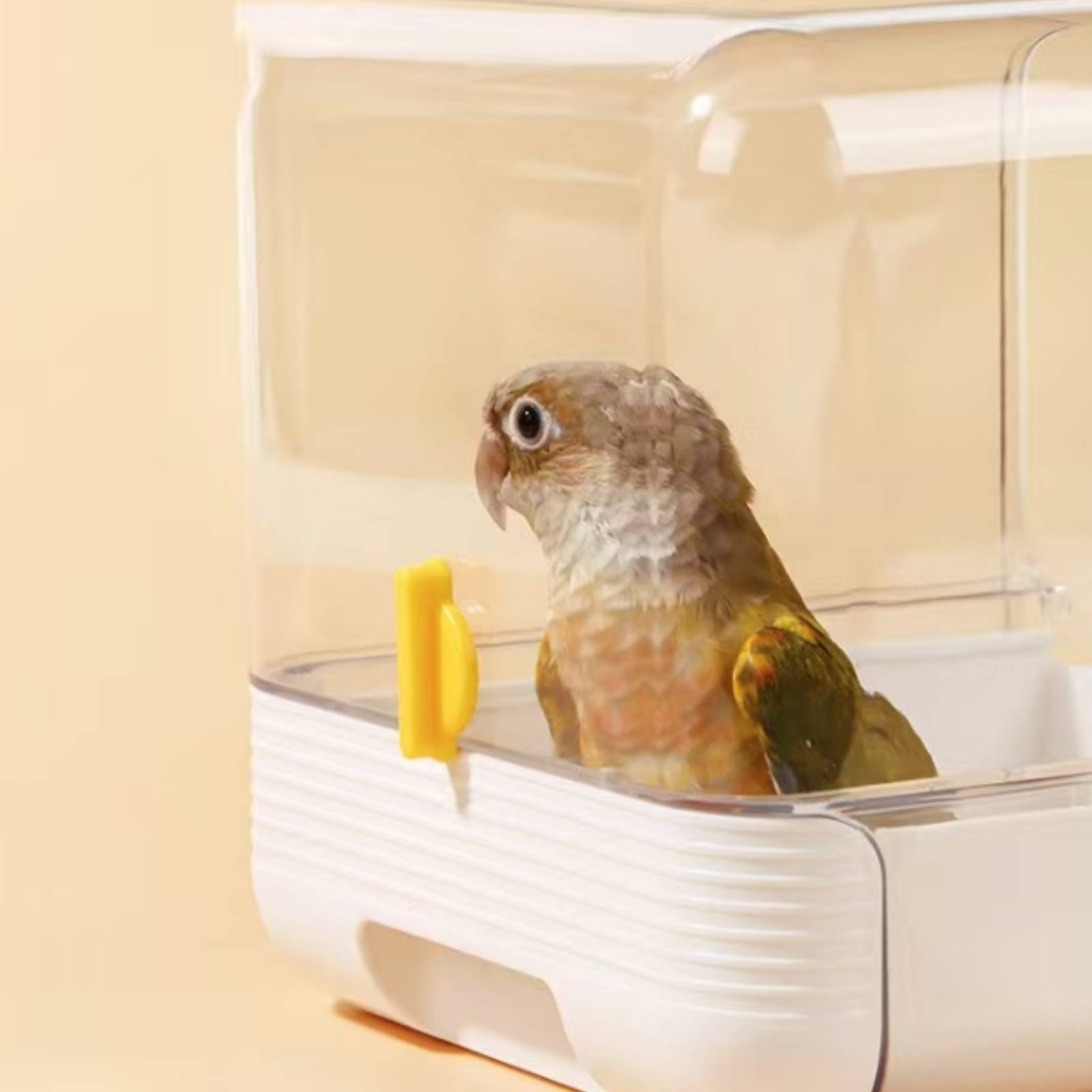 Papageien-Badewanne Multifunkt – Pet Supplies In Bewertung und Preis