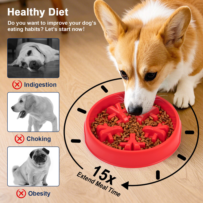 Futternapf, Slow-Feeding-Napf, – Slow Feeder Dog Bowl Bewertung und Preis